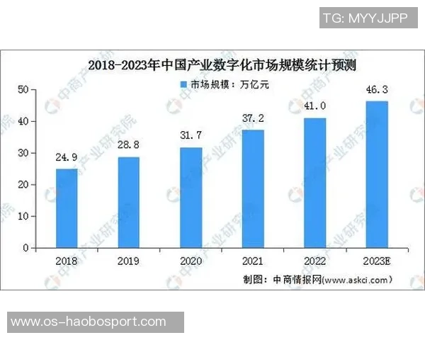 12月12日中日对决分析两国经济文化差异与未来发展趋势 12月12日中日对决分析两国经济文化差异与未来发展趋势