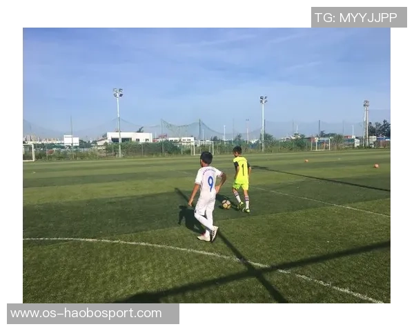 吴芳深度解析足球技巧与战术分享，助你提升球场表现与理解力